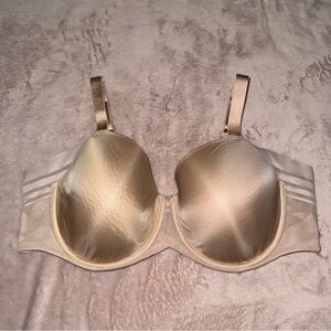 Paramour bra size 42D
